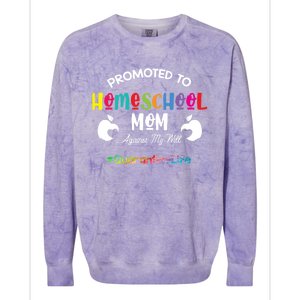 Promoted To Homeschool Mom Gift Mama Teacher Gift Teaching Gift Colorblast Crewneck Sweatshirt