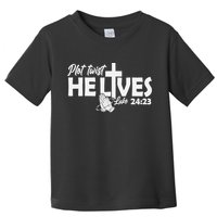 Plot Twist He Lives Luke 2423 Christian God Easter Funny Toddler T-Shirt