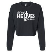 Plot Twist He Lives Luke 2423 Christian God Easter Funny Cropped Pullover Crew