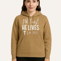 Plot Twist He Lives 2423 Jesus Easter Christian Apparel Hoodie