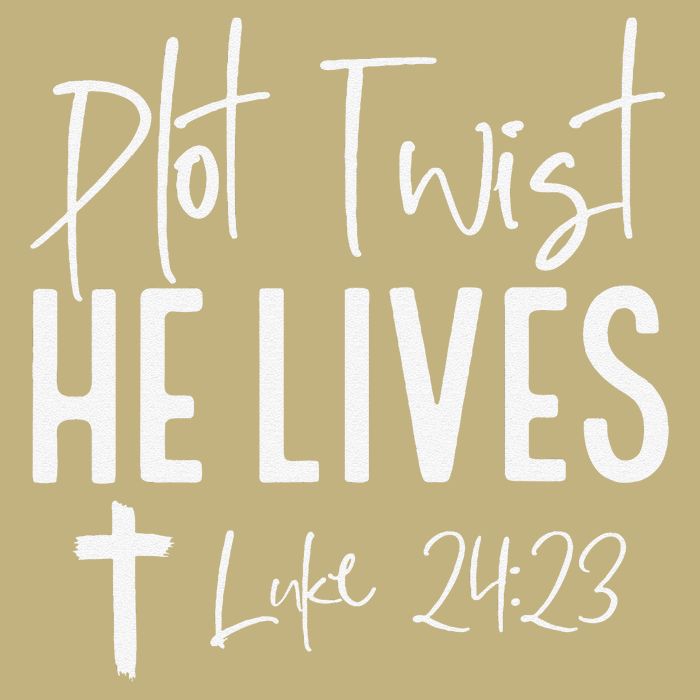 Plot Twist He Lives 2423 Jesus Easter Christian Apparel Hoodie