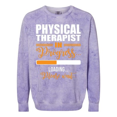 Physical Therapist Loading Please Wait Future Funny PT Gifts Colorblast Crewneck Sweatshirt