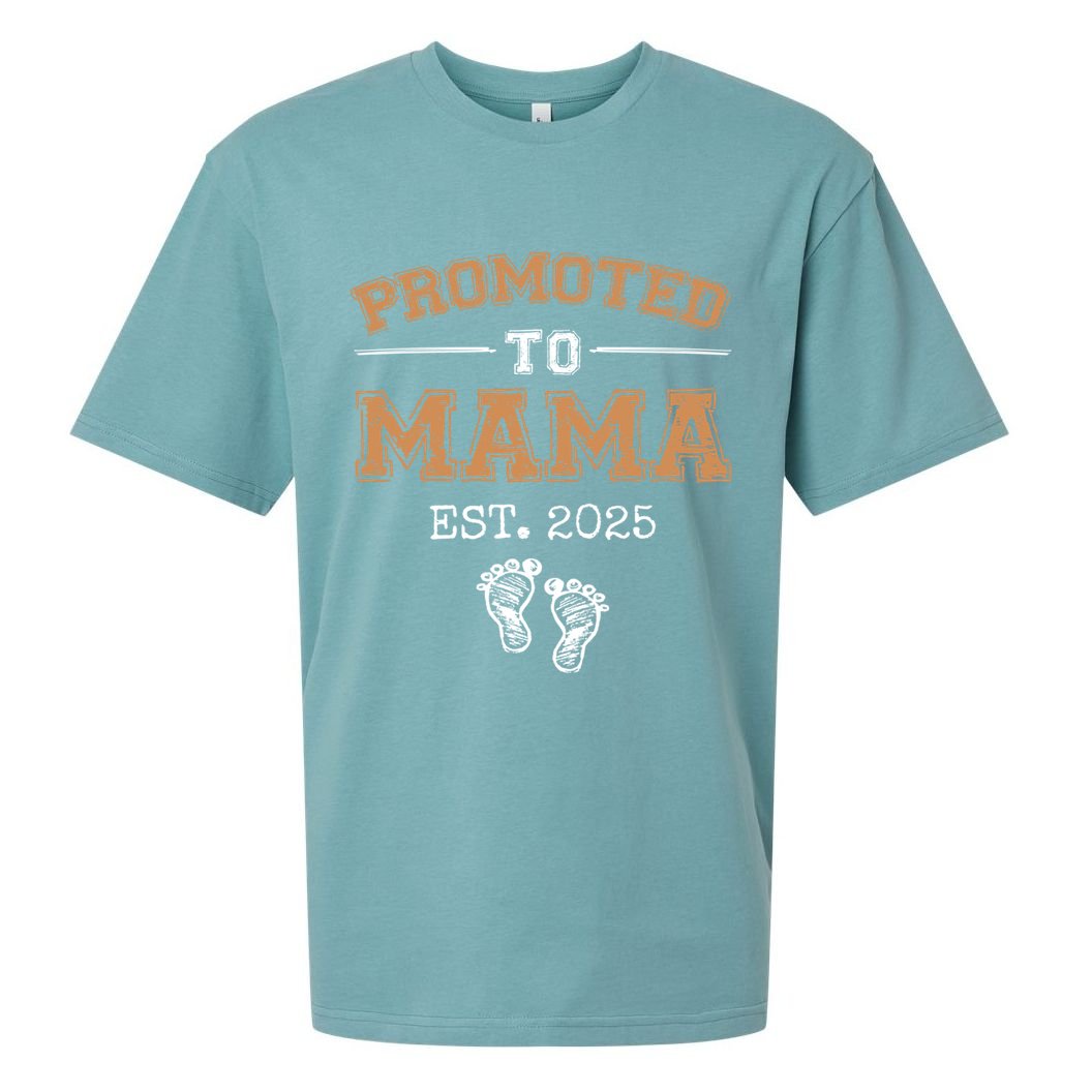 Promoted To Mama Est 2025 Mom To Be Gifts First Time Mama  Sueded Cloud Jersey T-Shirt