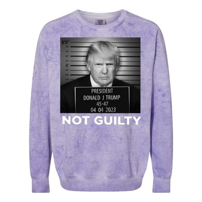 President Trump Not Guilty Colorblast Crewneck Sweatshirt