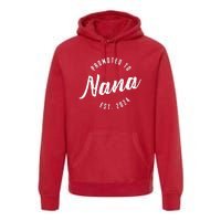 Promoted To Nana Again Est 2024 Pregnancy Announcement Premium Hoodie