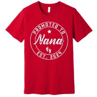 Promoted To Nana Again Est 2024 Pregnancy Announcement Premium T-Shirt