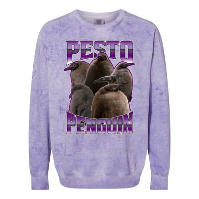 Pesto The Penguin Colorblast Crewneck Sweatshirt