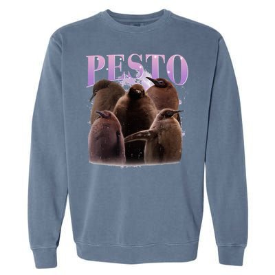 Pesto The Penguin Cute Pesto Penguin For Animals Lovers Garment-Dyed Sweatshirt