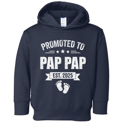 Promoted To Pap Pap Est 2025 Fathers Day First Time New Toddler Hoodie