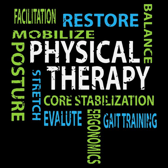 Physical Therapist PT Gift Motivational Physical Therapy Kids Sweatshirt