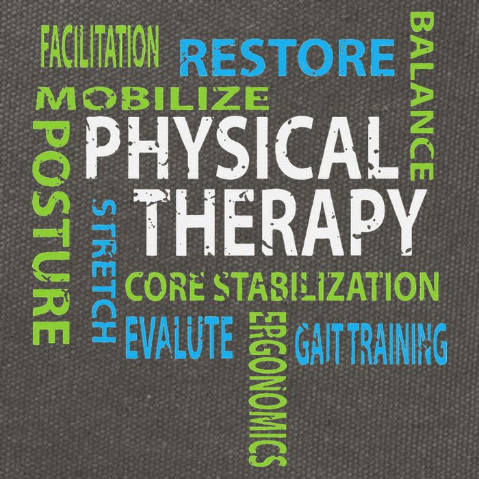 Physical Therapist PT Gift Motivational Physical Therapy Cotton Canvas Backpack