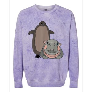 Pesto The Penguin And Moo Deng The Baby Hippo Funny Colorblast Crewneck Sweatshirt