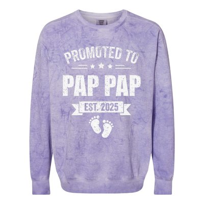 Promoted To Pap Pap Est 2025 Fathers Day First Time New Colorblast Crewneck Sweatshirt