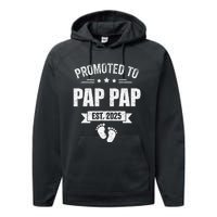 Promoted To Pap Pap Est 2025 Fathers Day First Time New Performance Fleece Hoodie