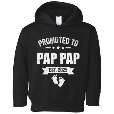 Promoted To Pap Pap Est 2025 Fathers Day First Time New Toddler Hoodie