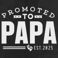 Promoted To Papa 2025 New 1st First Time Papa Dad Father 7 Panel Mesh Trucker Snapback Hat