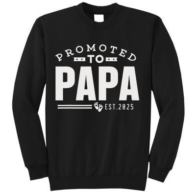 Promoted To Papa 2025 New 1st First Time Papa Dad Father Sweatshirt