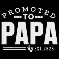 Promoted To Papa 2025 New 1st First Time Papa Dad Father T-Shirt