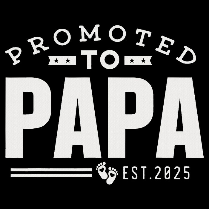Promoted To Papa 2025 New 1st First Time Papa Dad Father T-Shirt
