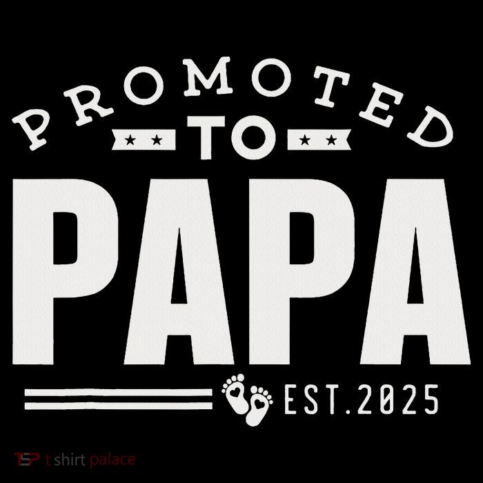 Promoted To Papa 2025 New 1st First Time Papa Dad Father Womens T-Shirt