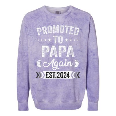 Promoted To Papa Again Est 2024 Announcement Colorblast Crewneck Sweatshirt