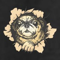 Pug Torn Cool Comfort Performance Bucket Hat