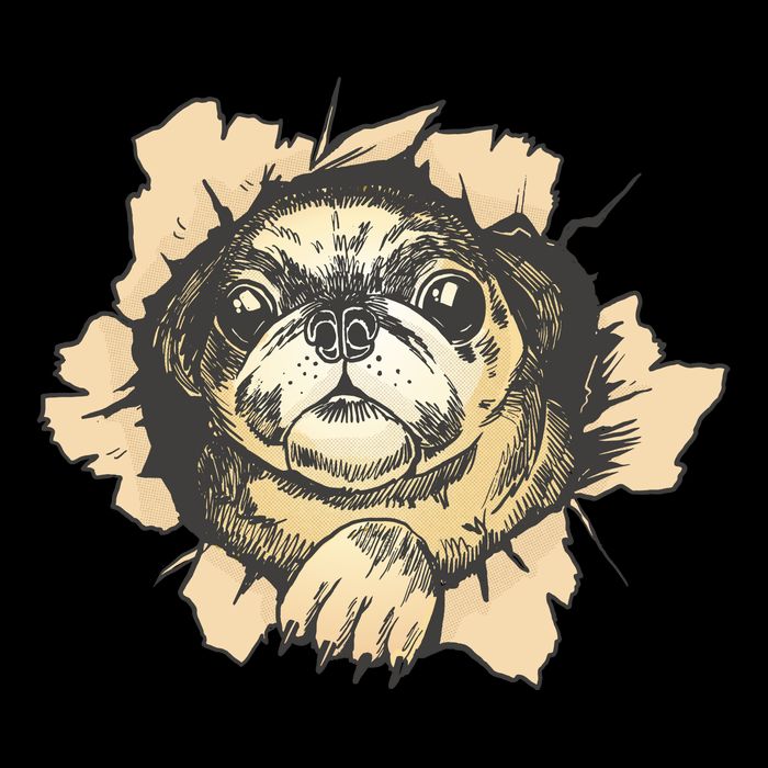 Pug Torn USA-Made Doggie Bandana