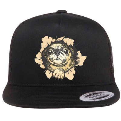 Pug Torn Flatbill Hat