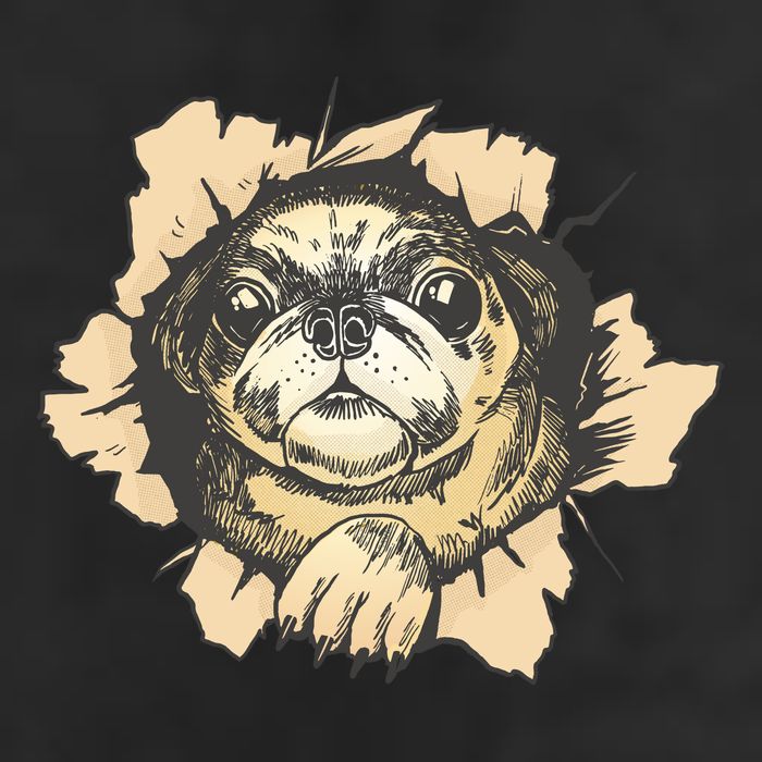 Pug Torn Golf Towel
