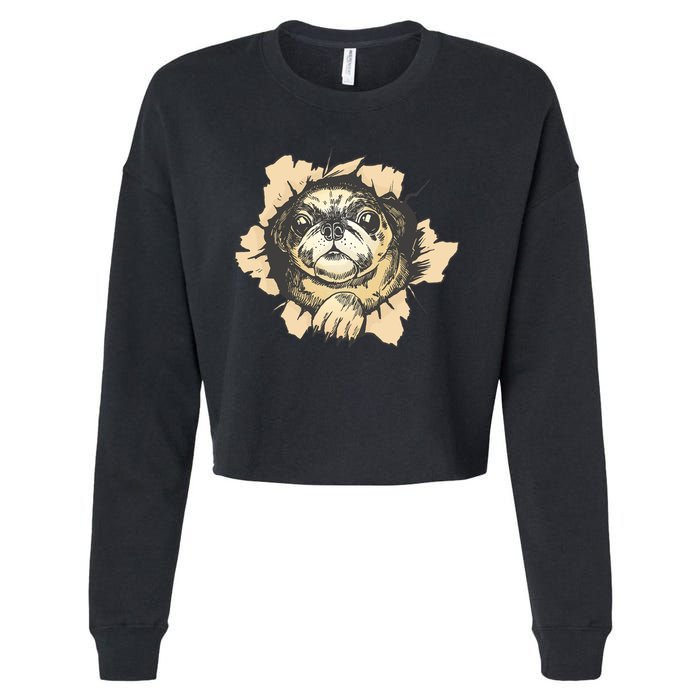 Pug Torn Cropped Pullover Crew