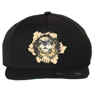 Pug Torn Wool Snapback Cap