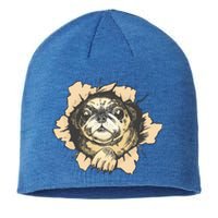 Pug Torn Sustainable Beanie