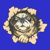 Pug Torn 16 in Basic Backpack