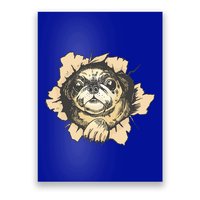 Pug Torn Poster