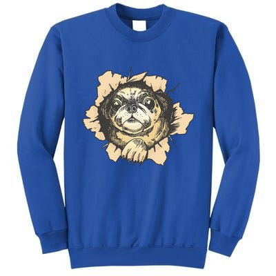 Pug Torn Tall Sweatshirt