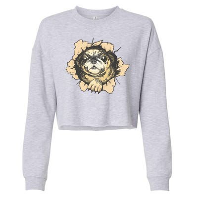 Pug Torn Cropped Pullover Crew