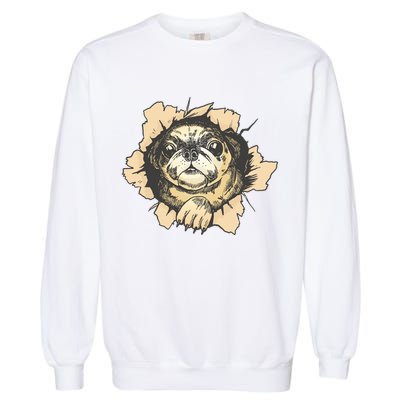 Pug Torn Garment-Dyed Sweatshirt