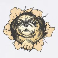 Pug Torn Garment-Dyed Sweatshirt