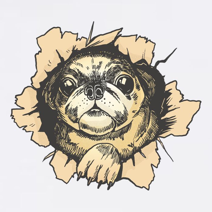 Pug Torn Garment-Dyed Sweatshirt