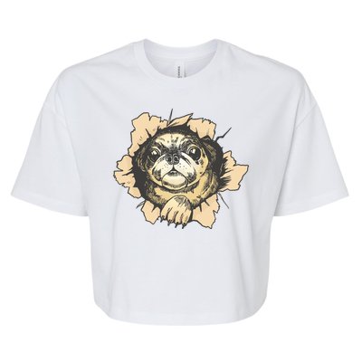 Pug Torn Bella+Canvas Jersey Crop Tee