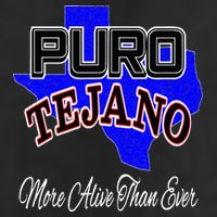 Puro Tejano Adult Drive Performance Visor