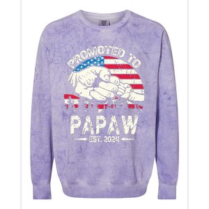 Promoted To Papaw 2024 Soon To Be Dad 2024 New Dad Colorblast Crewneck Sweatshirt