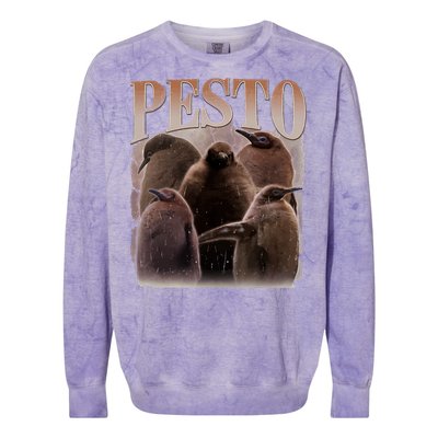 Pesto The Penguin Funny Baby Penguin Pesto Colorblast Crewneck Sweatshirt