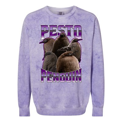 Pesto The Penguin More To Love Absolute Unit Viral Meme Colorblast Crewneck Sweatshirt