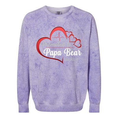 Promote To Papa Bear 2024 Funny Papa Bear Gift Colorblast Crewneck Sweatshirt