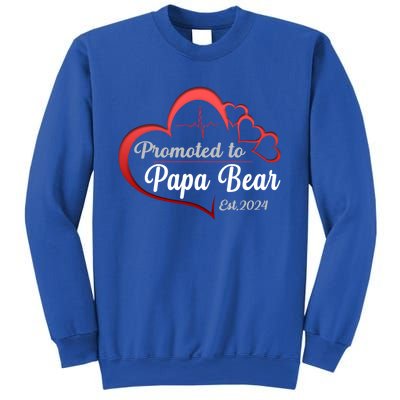 Promote To Papa Bear 2024 Funny Papa Bear Gift Sweatshirt