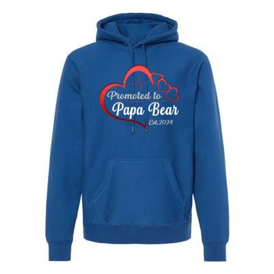 Promote To Papa Bear 2024 Funny Papa Bear Gift Premium Hoodie