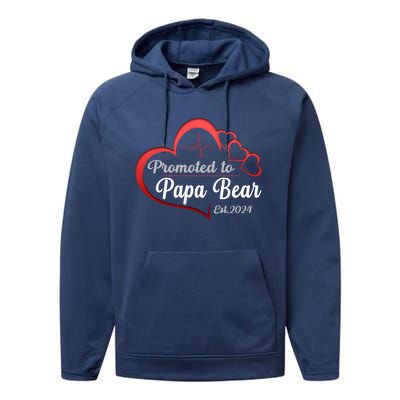 Promote To Papa Bear 2024 Funny Papa Bear Gift Performance Fleece Hoodie