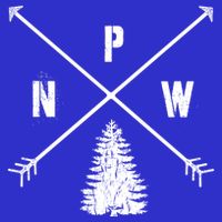 Pine Tree Pacific Northwest Pnw Arrows Fun Gift 16 in Basic Backpack