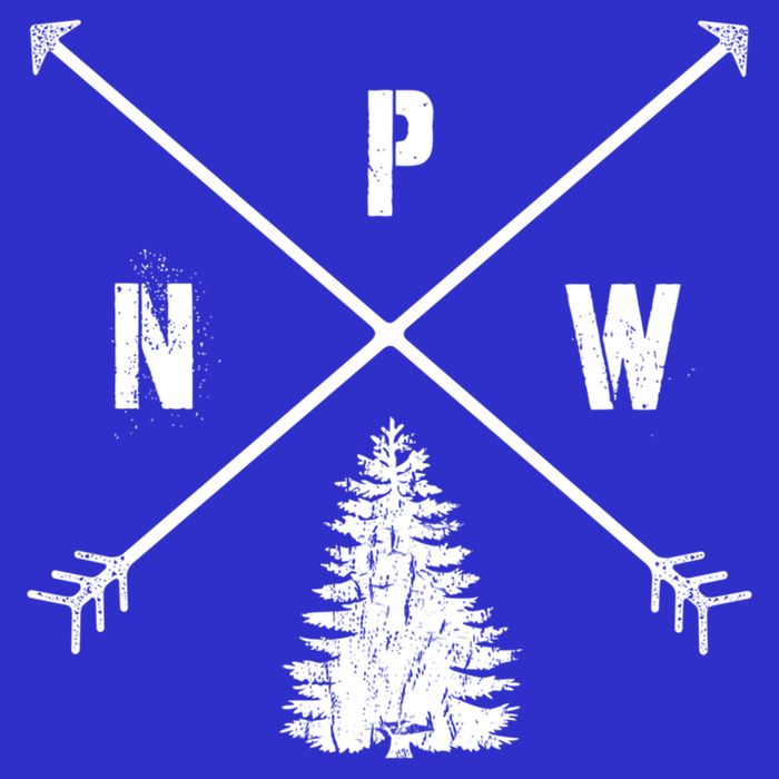Pine Tree Pacific Northwest Pnw Arrows Fun Gift 16 in Basic Backpack
